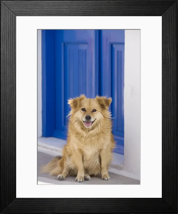 Framed Print : Picture No. 10890191 Framed Print : Picture No. 10890191