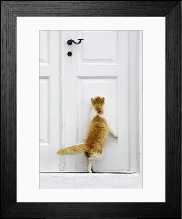 Framed Print : Picture No. 10890197 Framed Print : Picture No. 10890197