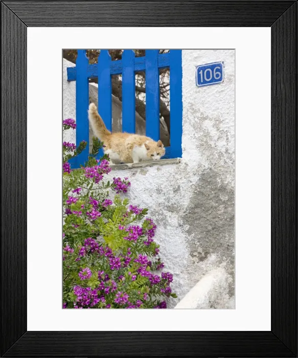 Framed Print : Picture No. 10890196 Framed Print : Picture No. 10890196