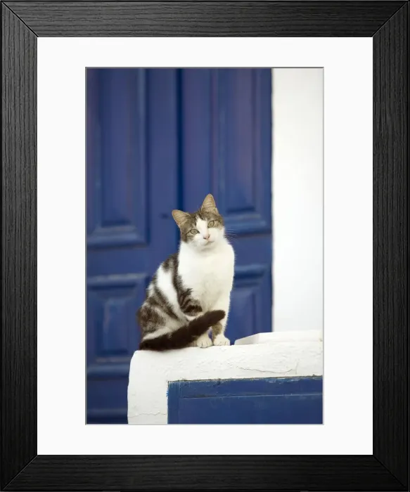 Framed Print : Picture No. 10890199 Framed Print : Picture No. 10890199