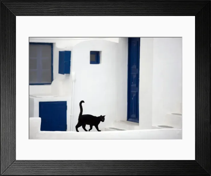 Framed Print : Picture No. 10890203 Framed Print : Picture No. 10890203
