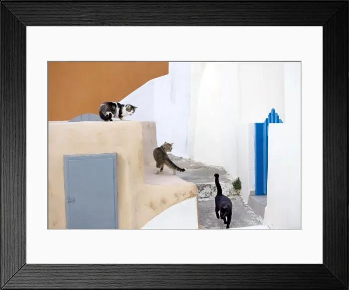 Framed Print : Picture No. 10890200 Framed Print : Picture No. 10890200
