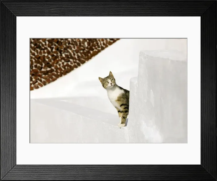 Framed Print : Picture No. 10890205 Framed Print : Picture No. 10890205
