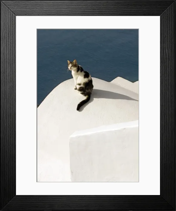 Framed Print : Picture No. 10890208 Framed Print : Picture No. 10890208