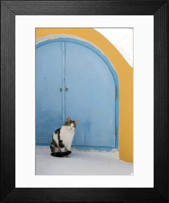 Framed Print : Picture No. 10890207 Framed Print : Picture No. 10890207