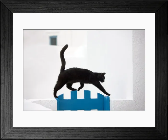Framed Print : Picture No. 10890204 Framed Print : Picture No. 10890204