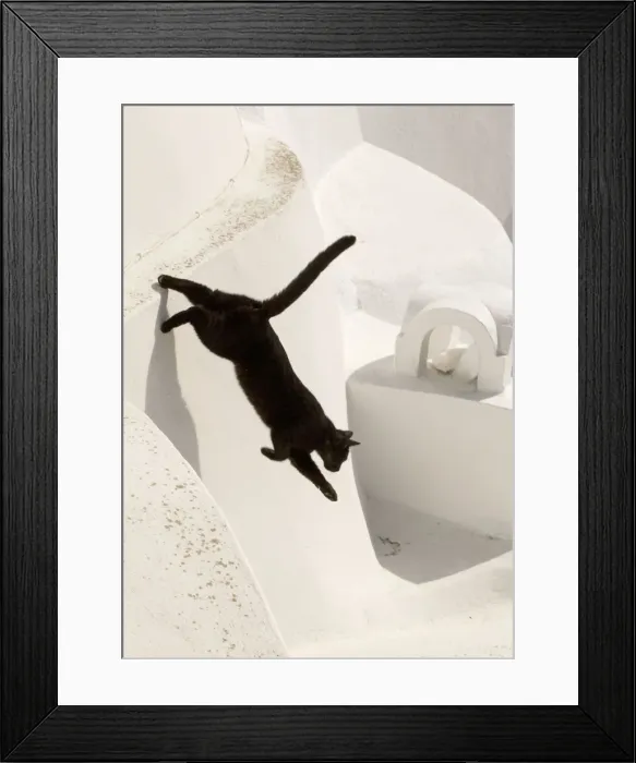 Framed Print : Picture No. 10890212 Framed Print : Picture No. 10890212