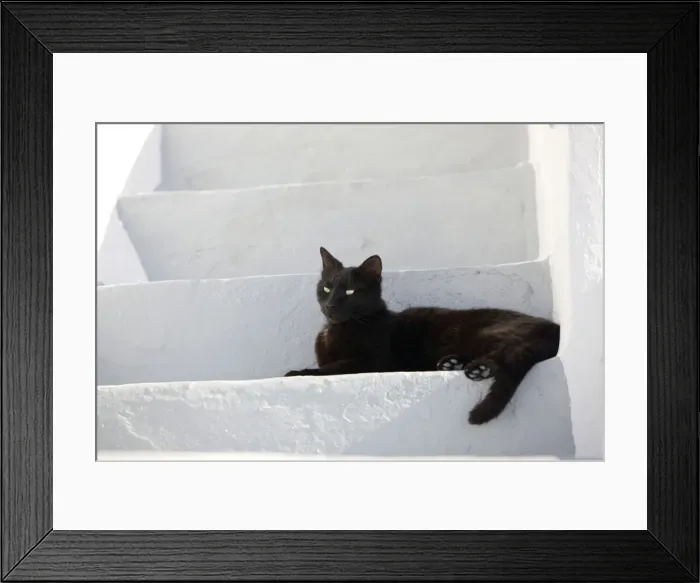 Framed Print : Picture No. 10890210 Framed Print : Picture No. 10890210