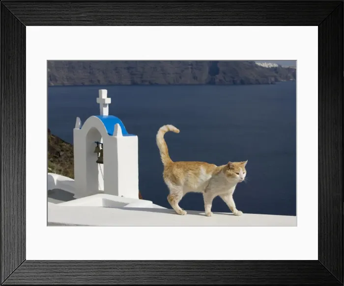 Framed Print : Picture No. 10890214 Framed Print : Picture No. 10890214