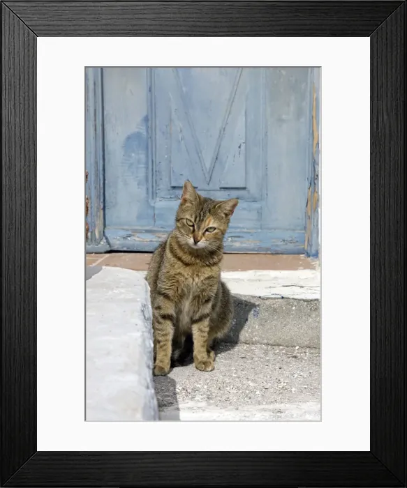 Framed Print : Picture No. 10890213 Framed Print : Picture No. 10890213