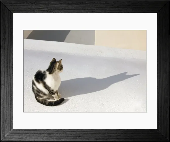 Framed Print : Picture No. 10890209 Framed Print : Picture No. 10890209