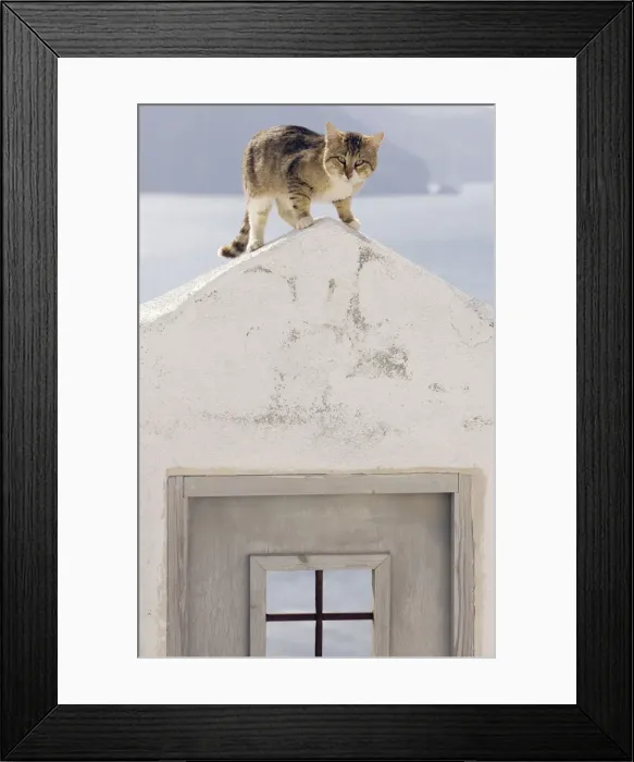 Framed Print : Picture No. 10890211 Framed Print : Picture No. 10890211