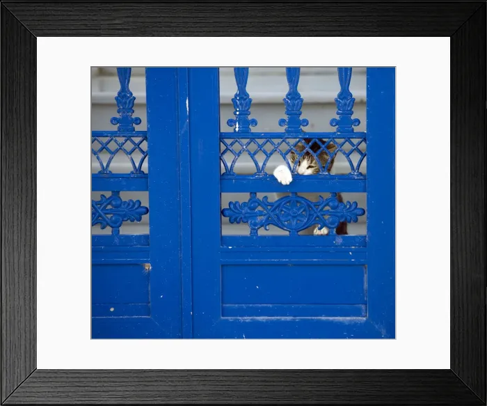 Framed Print : Picture No. 10890221 Framed Print : Picture No. 10890221