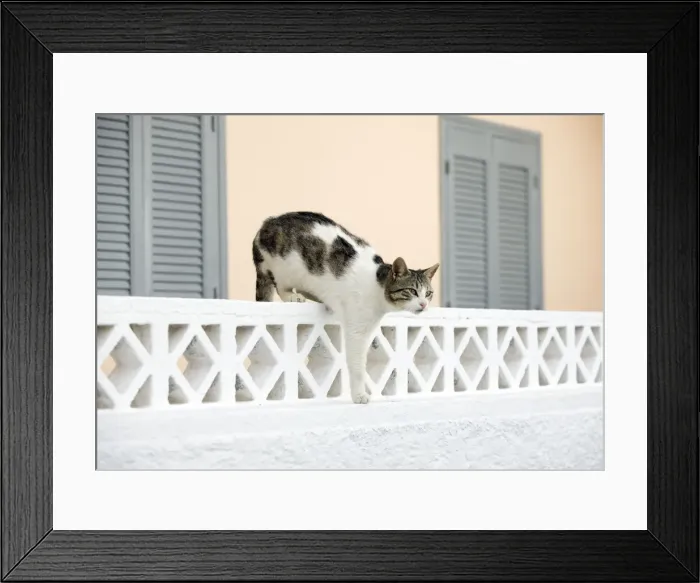 Framed Print : Picture No. 10890220 Framed Print : Picture No. 10890220