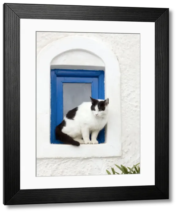 Framed Print : Picture No. 10890226