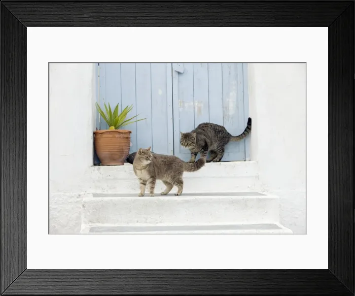 Framed Print : Picture No. 10890235 Framed Print : Picture No. 10890235