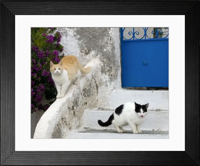 Framed Print : Picture No. 10890230 Framed Print : Picture No. 10890230