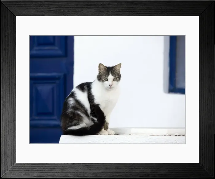 Framed Print : Picture No. 10890236 Framed Print : Picture No. 10890236