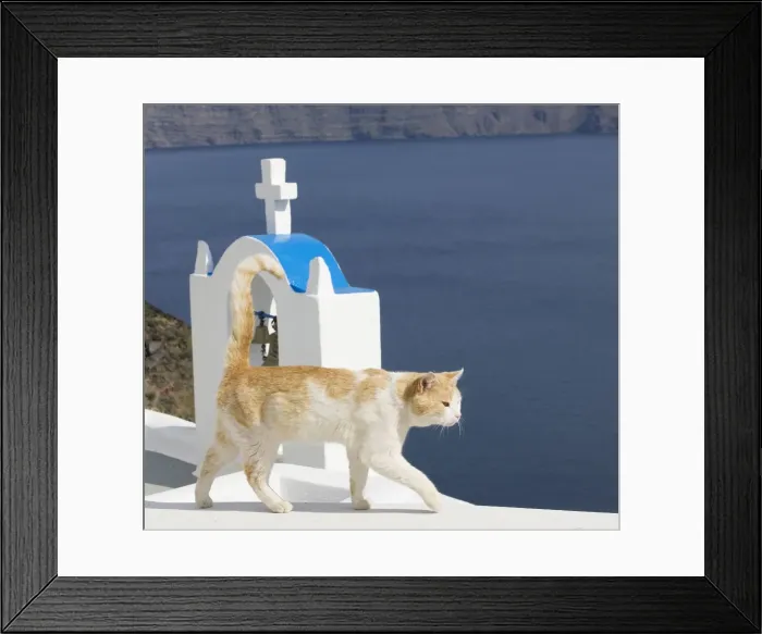 Framed Print : Picture No. 10890282 Framed Print : Picture No. 10890282