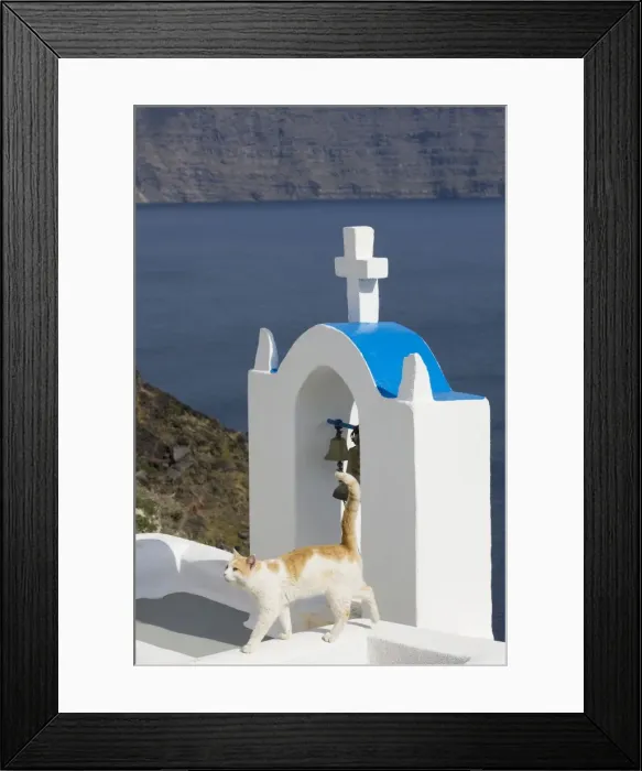 Framed Print : Picture No. 10890284 Framed Print : Picture No. 10890284