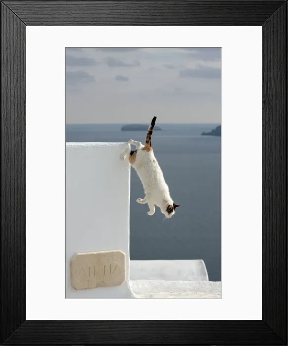 Framed Print : Picture No. 10890288 Framed Print : Picture No. 10890288