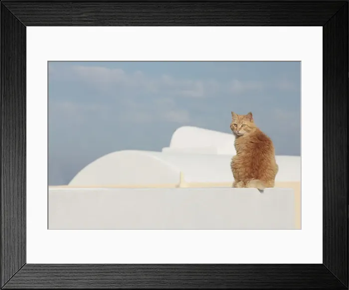 Framed Print : Picture No. 10890291 Framed Print : Picture No. 10890291