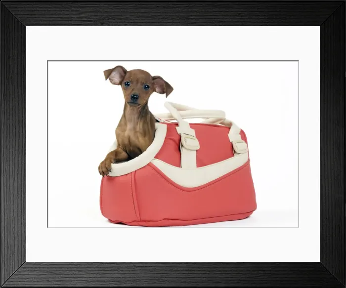 Framed Print : Picture No. 10890292 Framed Print : Picture No. 10890292