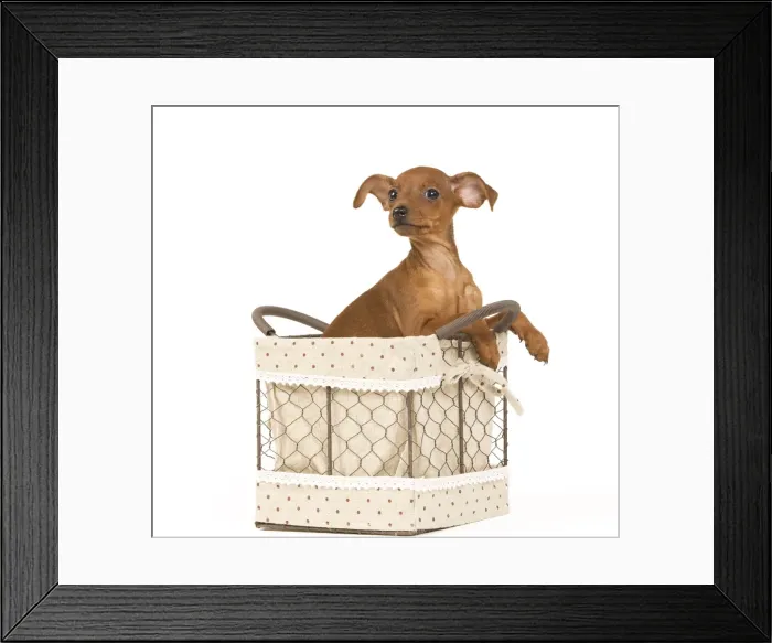 Framed Print : Picture No. 10890298 Framed Print : Picture No. 10890298