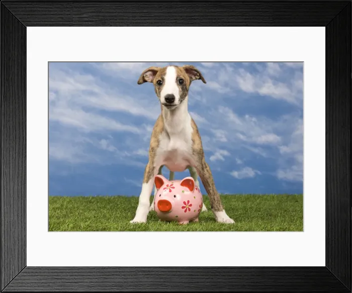 Framed Print : Picture No. 10890306 Framed Print : Picture No. 10890306
