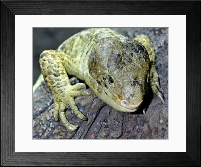 Framed Print : Picture No. 10890322 Framed Print : Picture No. 10890322