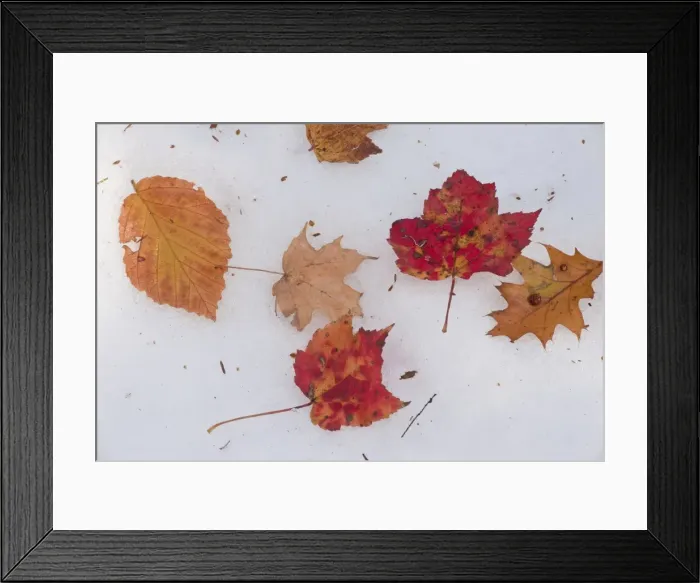 Framed Print : Picture No. 10890324 Framed Print : Picture No. 10890324