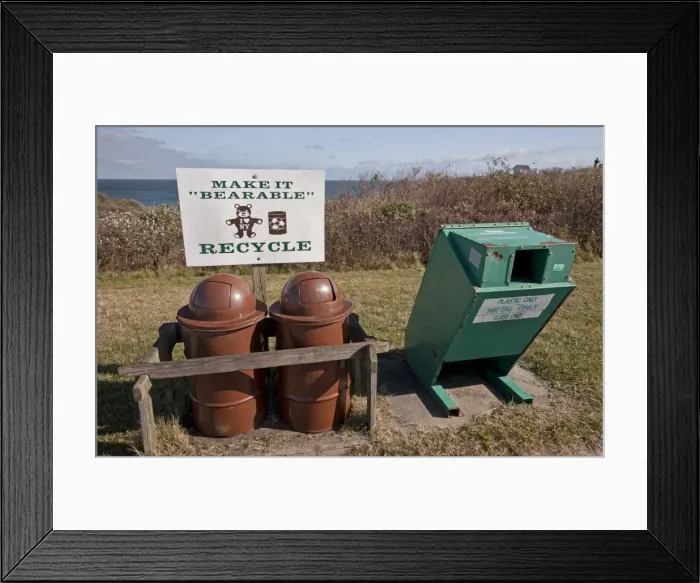 Framed Print : Picture No. 10890334 Framed Print : Picture No. 10890334