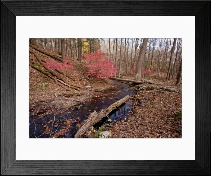 Framed Print : Picture No. 10890342 Framed Print : Picture No. 10890342