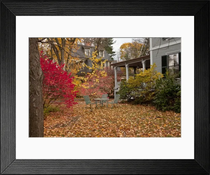 Framed Print : Picture No. 10890344 Framed Print : Picture No. 10890344
