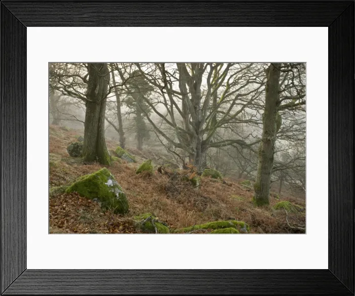 Framed Print : Picture No. 10890347 Framed Print : Picture No. 10890347