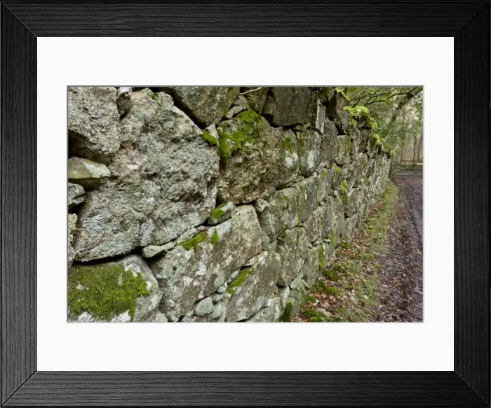 Framed Print : Picture No. 10890348 Framed Print : Picture No. 10890348