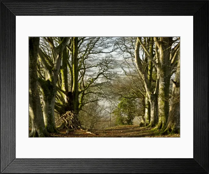 Framed Print : Picture No. 10890349 Framed Print : Picture No. 10890349
