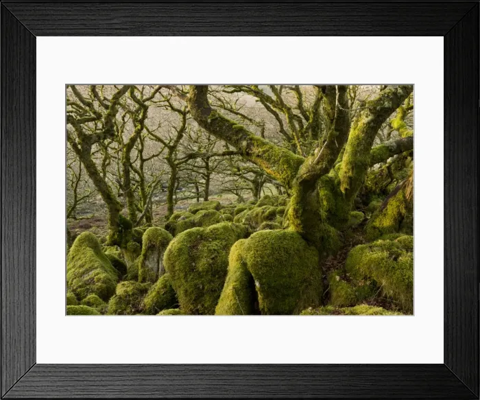 Framed Print : Picture No. 10890353 Framed Print : Picture No. 10890353
