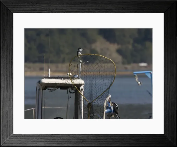 Framed Print : Picture No. 10890358 Framed Print : Picture No. 10890358