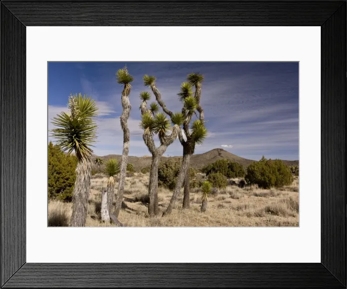 Framed Print : Picture No. 10890364 Framed Print : Picture No. 10890364