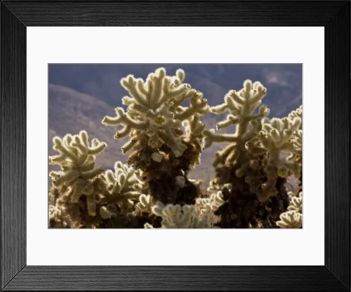Framed Print : Picture No. 10890372 Framed Print : Picture No. 10890372