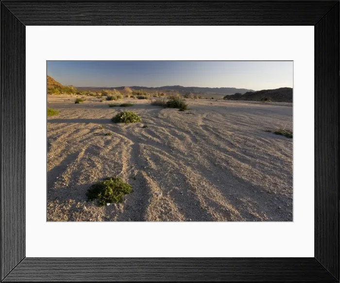 Framed Print : Picture No. 10890379 Framed Print : Picture No. 10890379