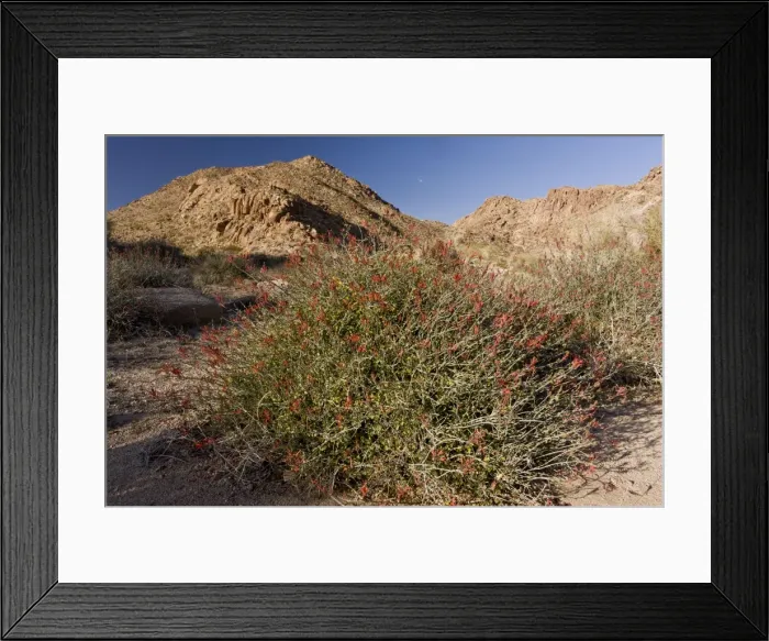Framed Print : Picture No. 10890375 Framed Print : Picture No. 10890375