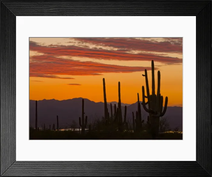 Framed Print : Picture No. 10890383 Framed Print : Picture No. 10890383