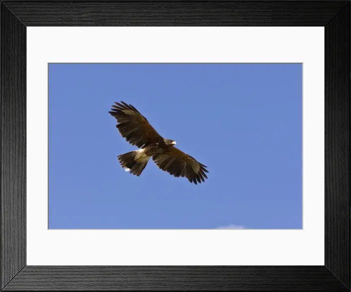 Framed Print : Picture No. 10890388 Framed Print : Picture No. 10890388