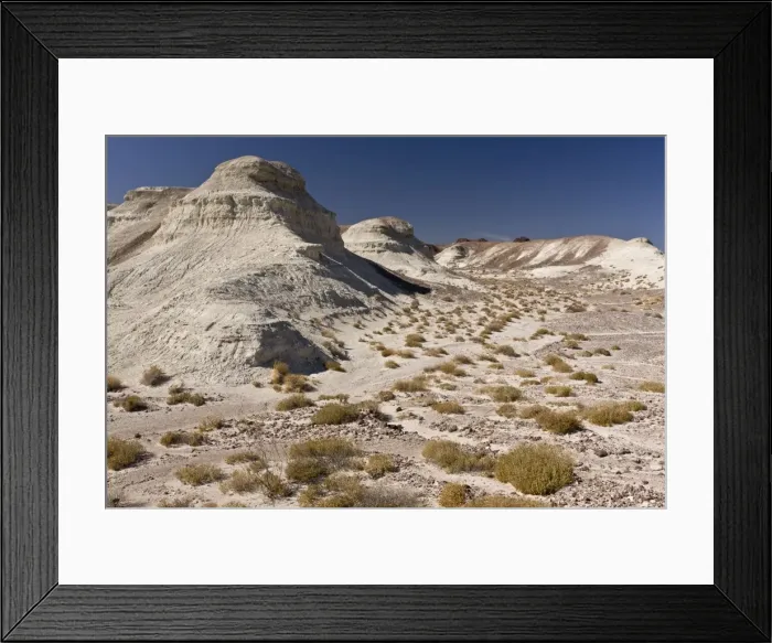 Framed Print : Picture No. 10890404 Framed Print : Picture No. 10890404