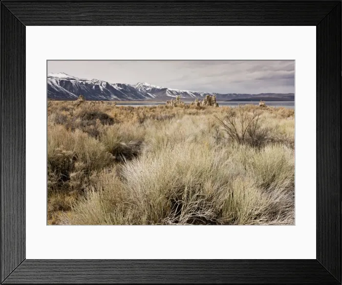 Framed Print : Picture No. 10890408 Framed Print : Picture No. 10890408