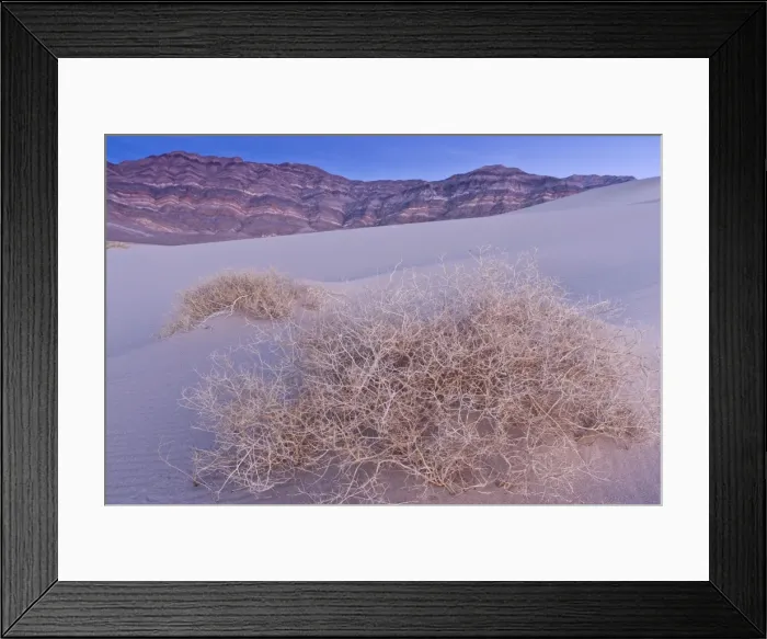 Framed Print : Picture No. 10890405 Framed Print : Picture No. 10890405