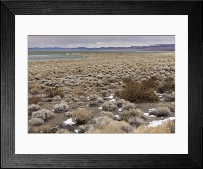Framed Print : Picture No. 10890411 Framed Print : Picture No. 10890411