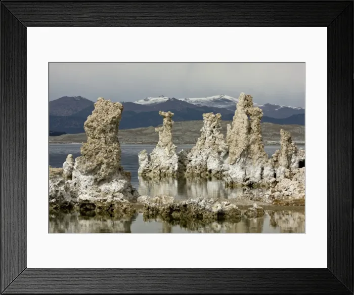 Framed Print : Picture No. 10890409 Framed Print : Picture No. 10890409